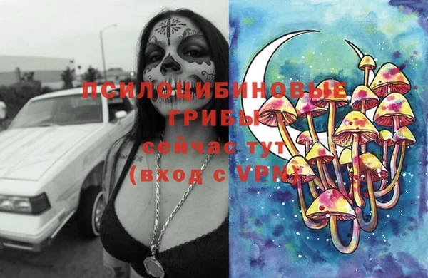 хмурый Пересвет