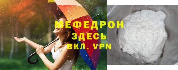хмурый Пересвет