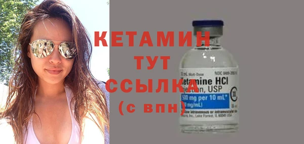 хмурый Пересвет