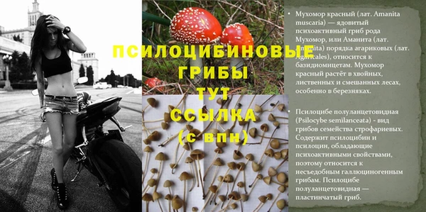 дурь Остров