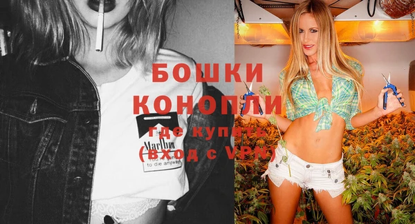 бошки Осташков