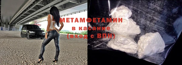 хмурый Пересвет