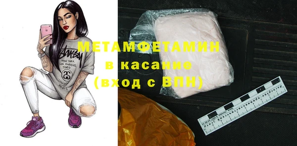 хмурый Пересвет