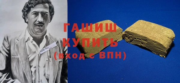 хмурый Пересвет