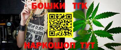 индика Кандалакша