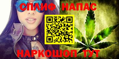 индика Кандалакша