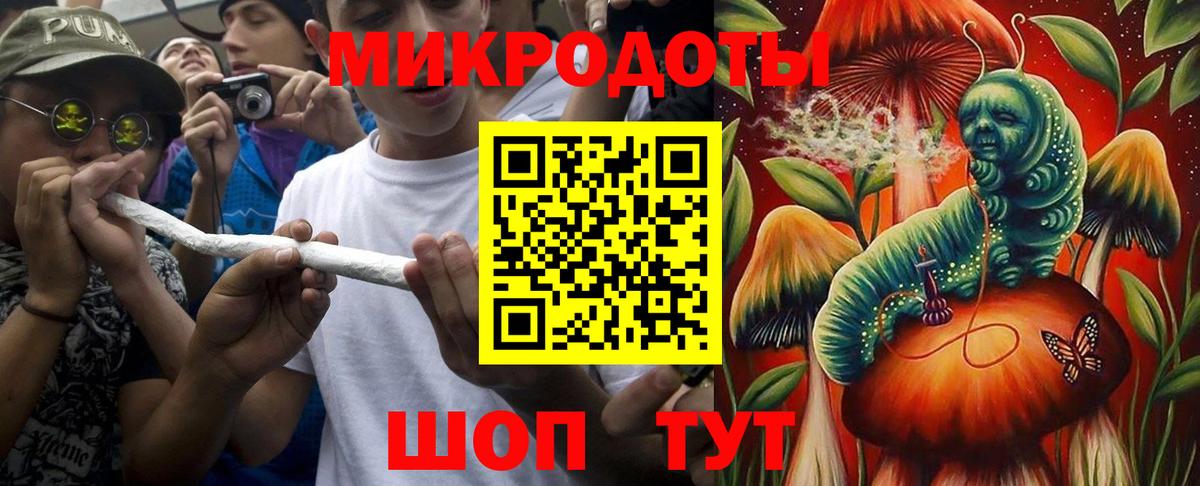 Балашов  Псилоцибиновые грибы прущие грибы  Вход с VPN 