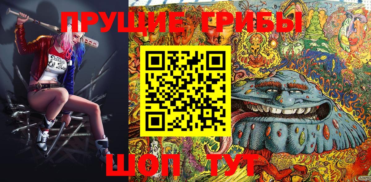 Псилоцибиновые грибы мицелий Балашов