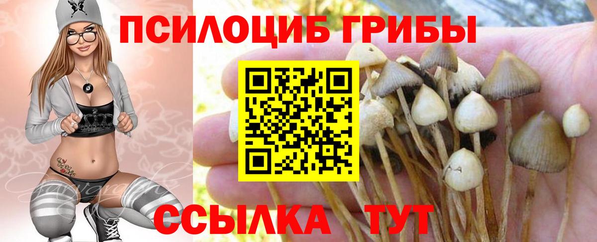 Псилоцибиновые грибы Magic Shrooms Балашов