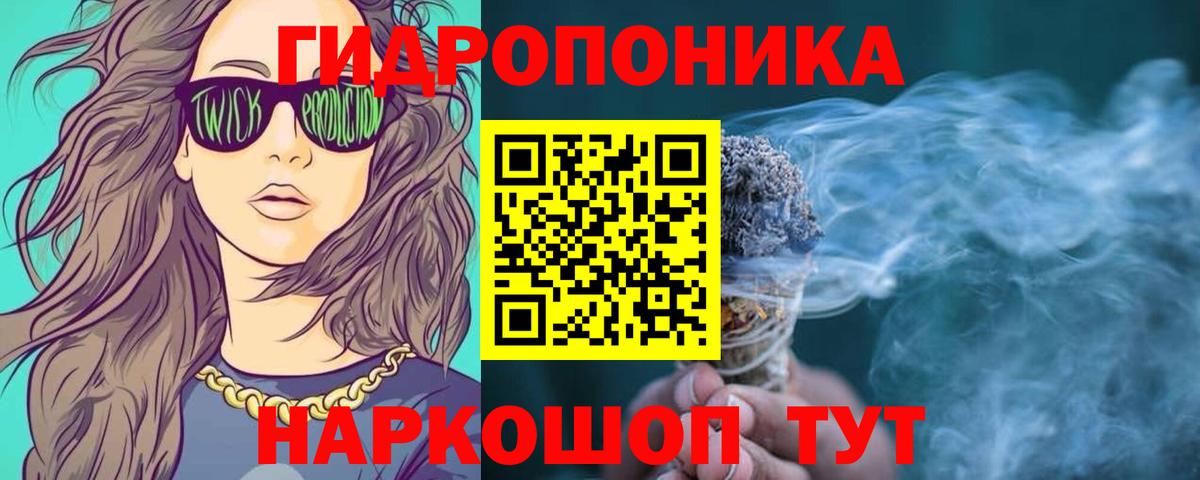 Бошки Шишки планчик Балашов